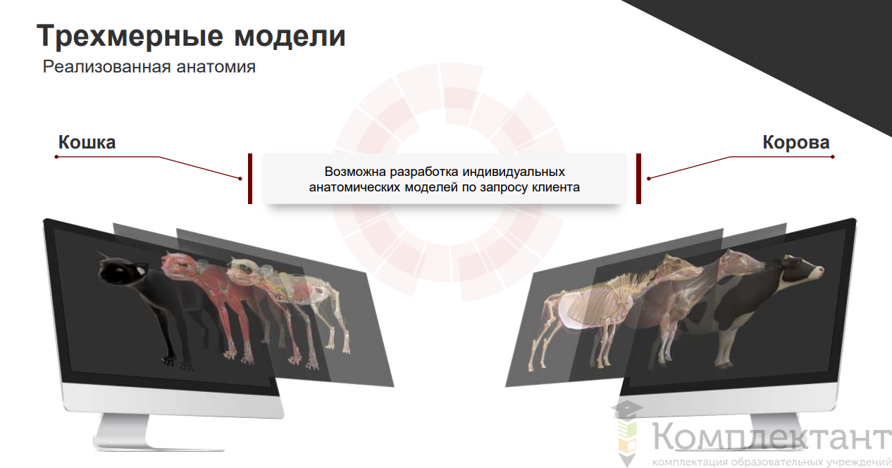 Интерактивный ветеринарный 3D атлас, 3 лицензии